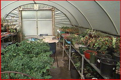Парники. Теплицы. Укрытия.