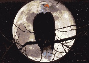 схемы вышивки, вышивка